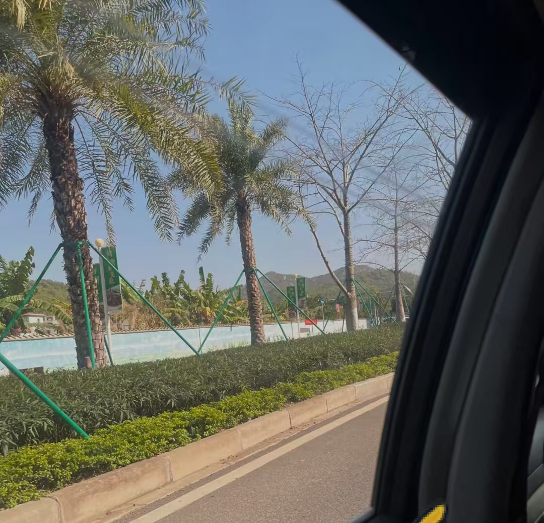 出租车/网约车