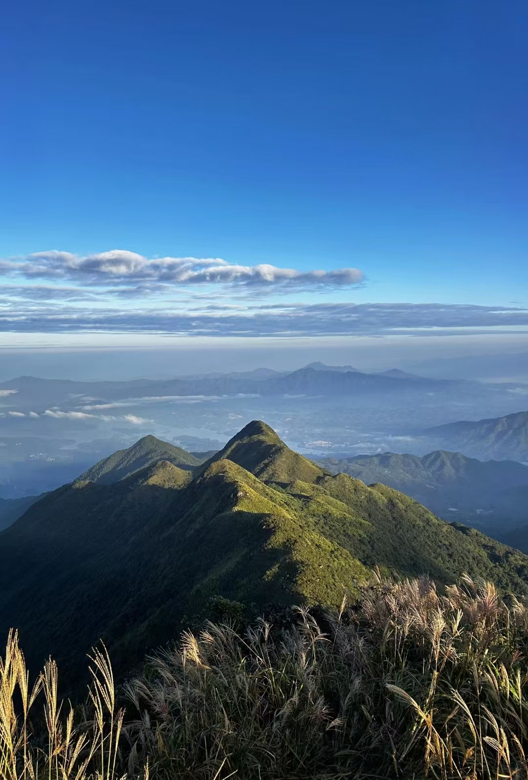 莲花山